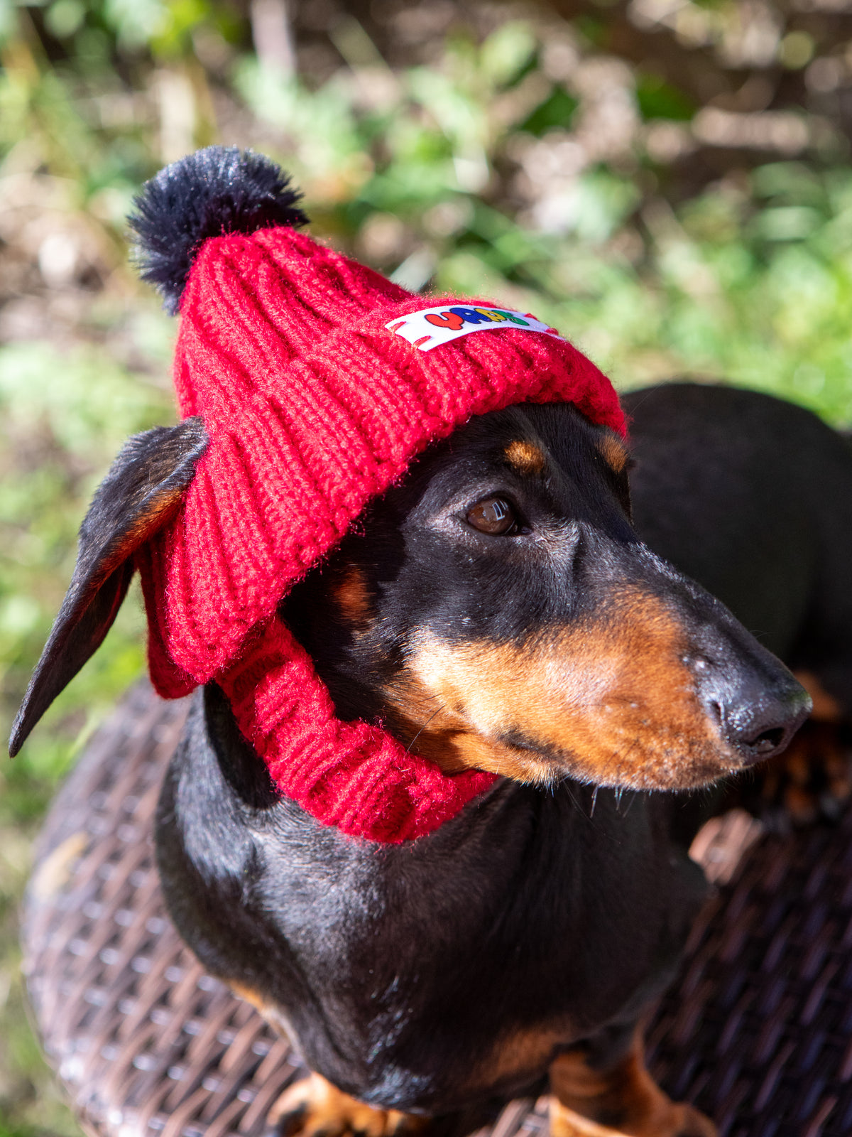 YAPS Beanie