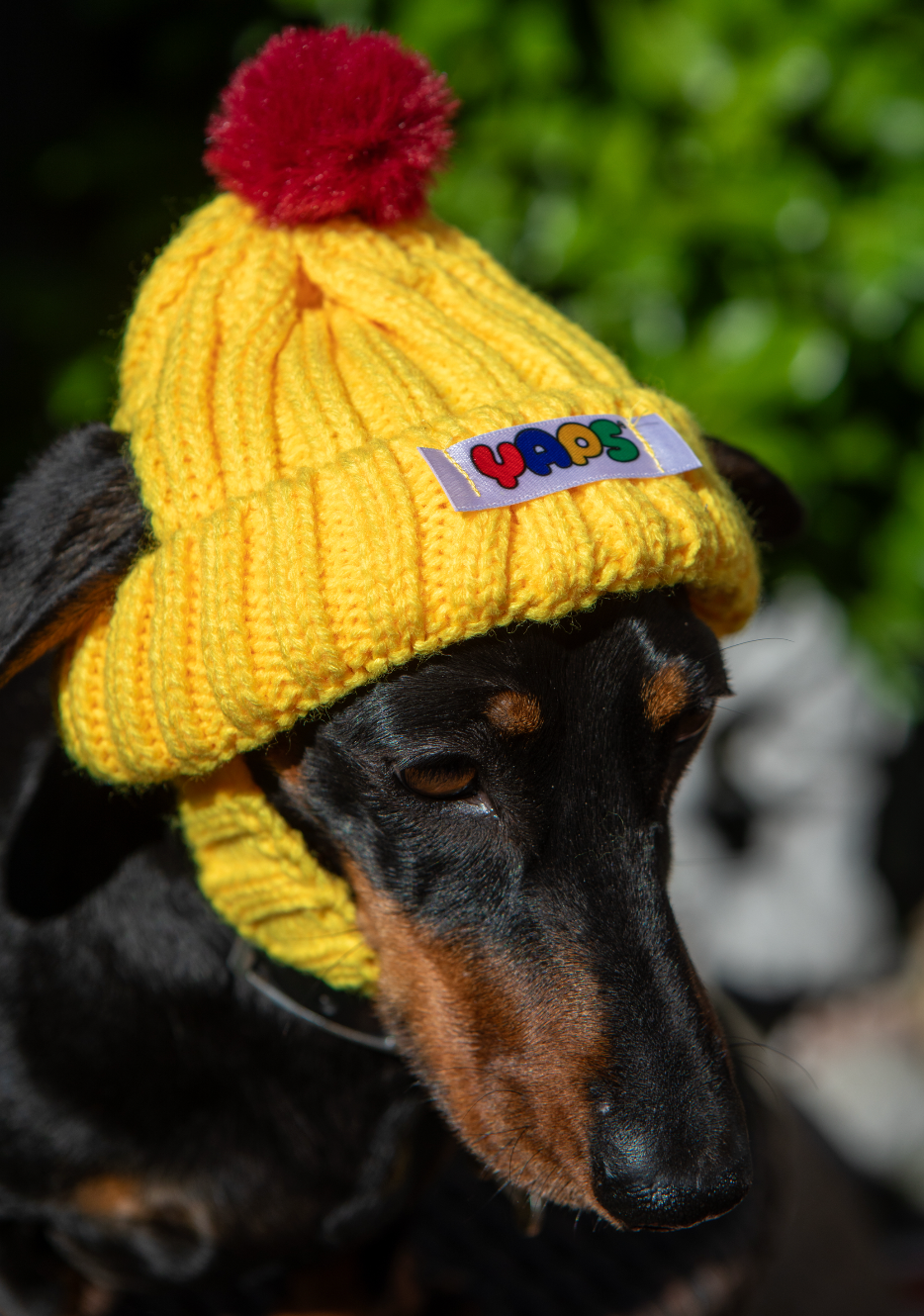 YAPS Beanie