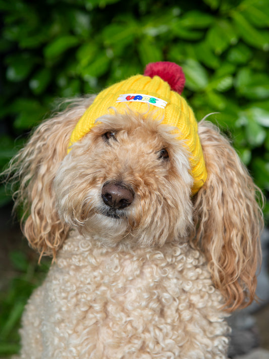 YAPS Beanie