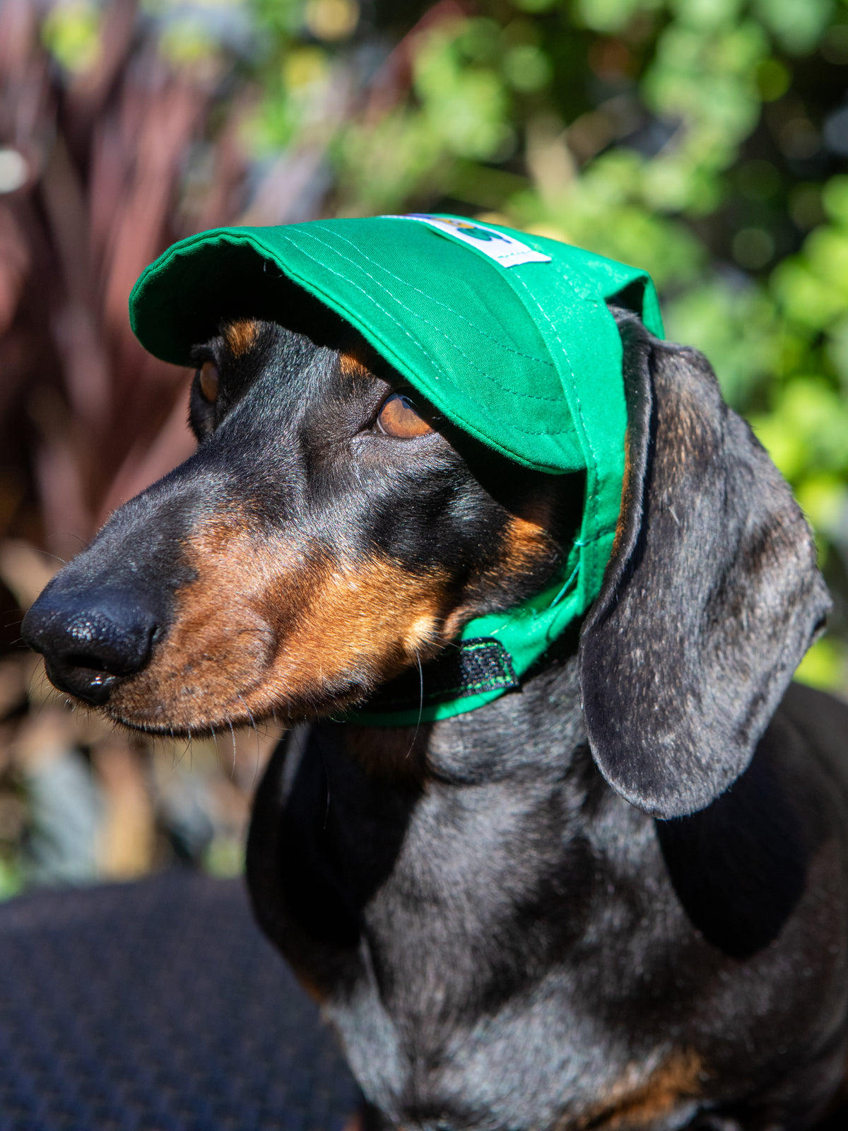 YAPS Cap
