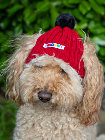 YAPS Beanie